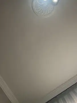 Snapshot of Soylu95 chatting on 01/17/26, 11:04 Soylu95 online show from 01/17/26, 11:04