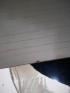 lilian prada online show from 04/12/26, 04:34