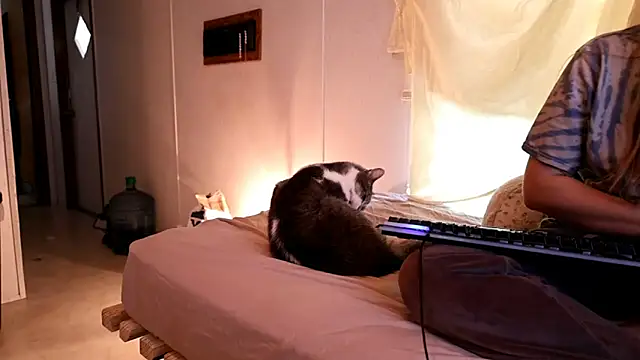 xxpixeyxx online show from 04/21/26, 02:34