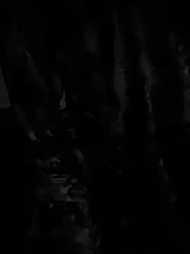 demonslayerr999 online show from 12/23/24, 06:33