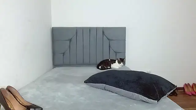 celeste 2023 online show from 01/07/26, 02:36