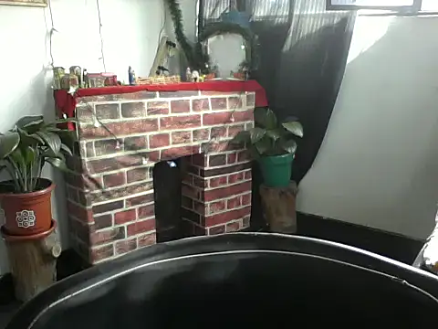 Paulita x3 online show from 12/20/24, 03:42