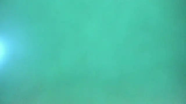 Snapshot of Harleysexycrazy chatting on 12/12/24, 04:04 Harleysexycrazy online show from 12/12/24, 04:04