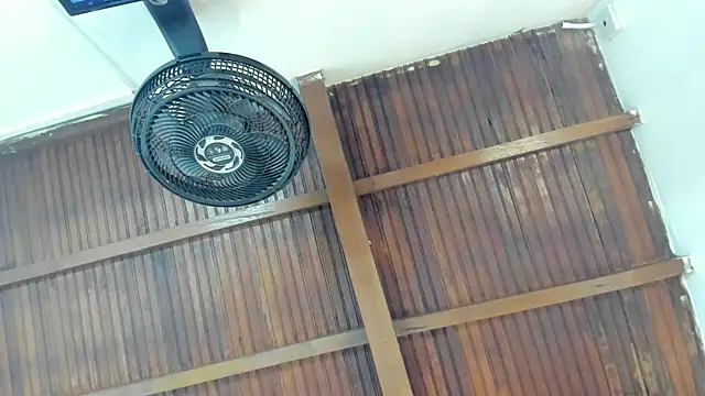 emily-fox online show from 04/21/26, 11:05