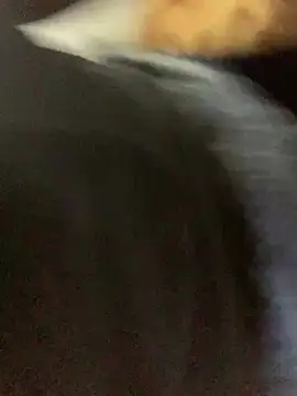 slimcateee online show from 03/02/25, 05:36