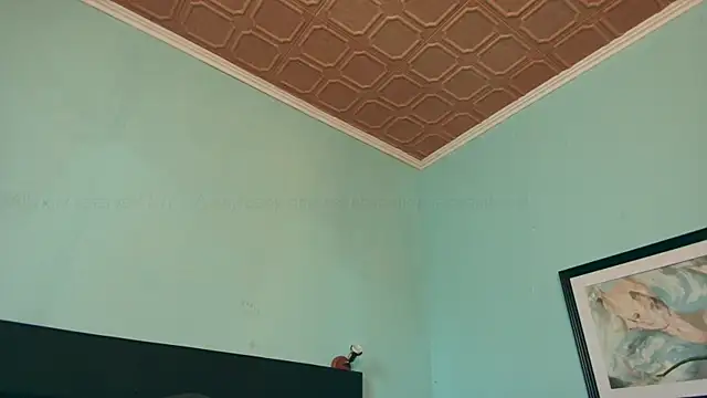 Prxscillia Tx online show from 01/14/25, 03:15