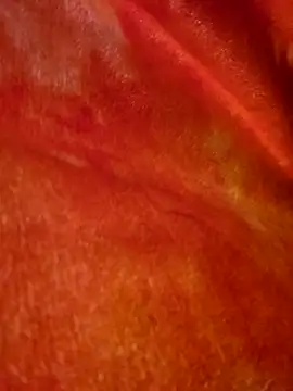 SmokeShow686 online show from 03/05/25, 01:50