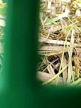 parejamlga58 online show from 04/21/26, 09:04