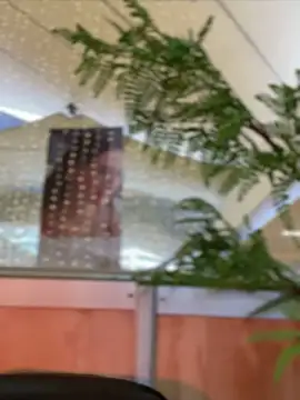 Snapshot of Emilia_Bakerr chatting on 12/15/24, 09:31 Emilia Bakerr online show from 12/15/24, 09:31