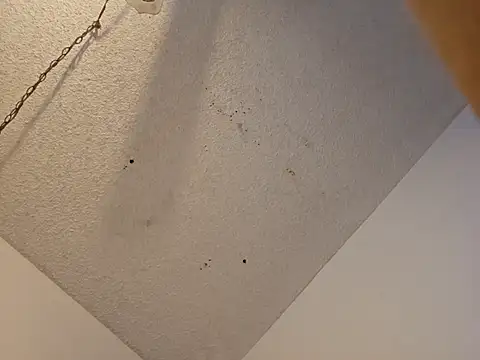 Snapshot of anyway2cum chatting on 01/19/25, 02:59 anyway2cum online show from 01/19/25, 02:59