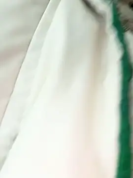 Snapshot of LikaCat chatting on 03/18/25, 04:04 LikaCat online show from 03/18/25, 04:04