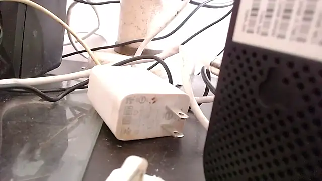 bardotbigcockts online show from 09/25/25, 08:01