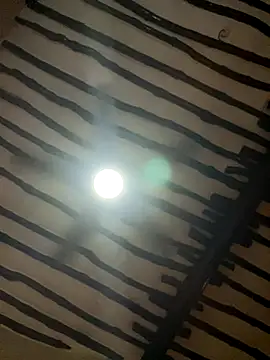 petiteebony 81 online show from 11/26/25, 06:31