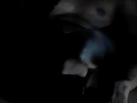 GRATEFUL16 online show from 02/06/25, 07:40