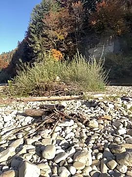 artXhibitor online show from 10/18/25, 02:29