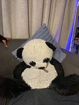 YellowHoneyDip online show from 02/19/26, 05:25