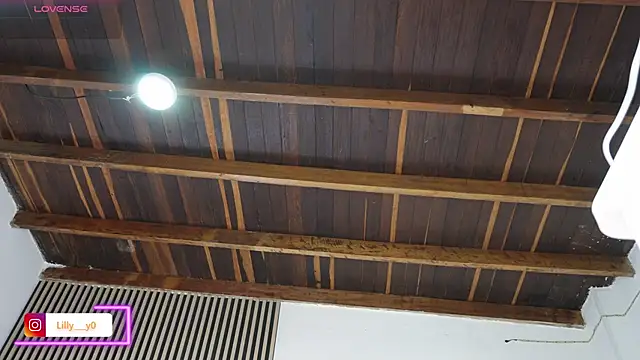 LillyDolls23 online show from 02/13/26, 01:07