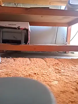 poloplayer123 online show from 02/13/26, 02:02