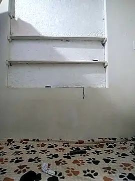 Cameron puppy online show from 04/24/26, 05:32