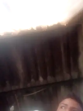 dantero online show from 01/14/25, 03:36