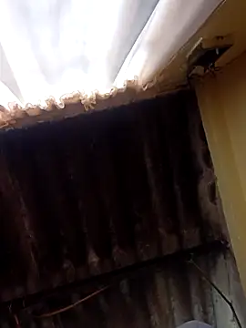 dantero online show from 02/27/25, 03:48