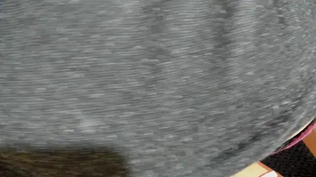 Cloee66 online show from 02/05/25, 07:42