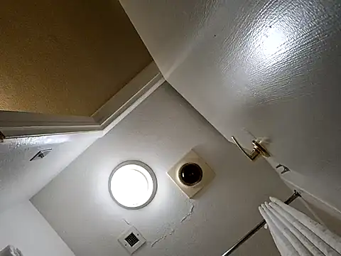 Treemandude online show from 10/29/25, 02:36