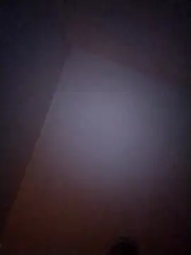 Treemandude online show from 01/06/26, 10:08