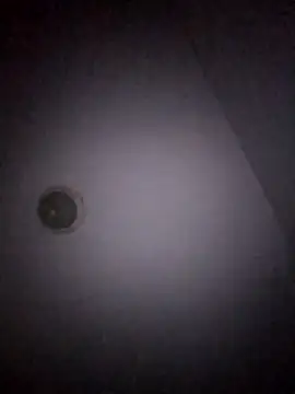 Treemandude online show from 01/15/26, 11:04