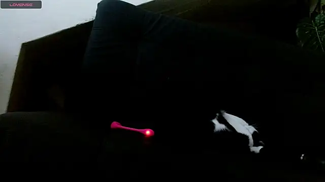 lady scarlettt online show from 02/18/25, 04:26