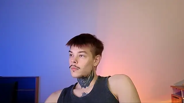 Snapshot of DENIS_HERE chatting on 11/26/25, 05:47 DENIS HERE online show from 11/26/25, 05:47