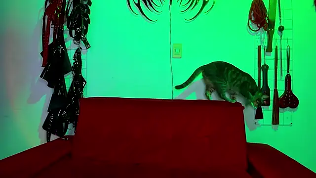 irregular fetish  online show from 02/19/26, 06:59