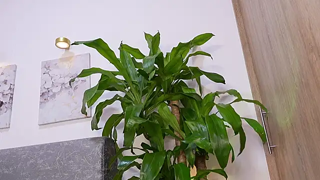 katie cruz online show from 04/23/26, 11:20