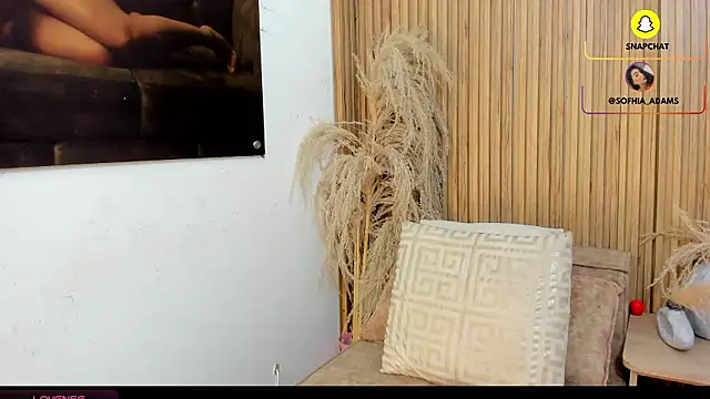 sofhiaa adaams online show from 02/20/26, 10:43