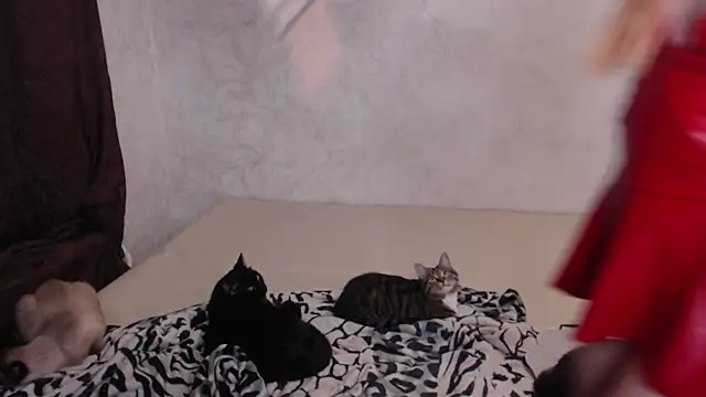 Olivia Winston online show from 11/30/25, 10:58