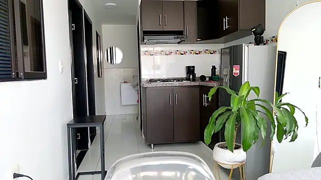 grey   27 online show from 02/22/25, 08:31