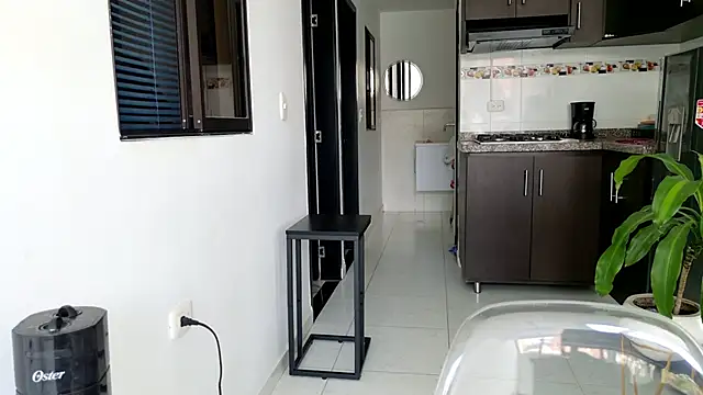 grey   27 online show from 02/28/25, 03:59