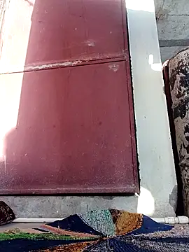 Mamta Chaterjee online show from 03/10/26, 01:54