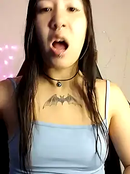 Snapshot of Japabaixinha chatting on 12/14/24, 04:31 Japabaixinha online show from 12/14/24, 04:31