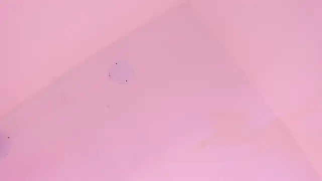 LoveQueen2 online show from 01/06/26, 11:47