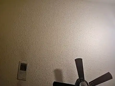 Forbidden daddy online show from 12/13/24, 07:36