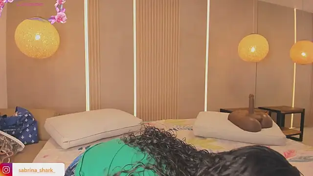 Snapshot of sabrina_shark_ chatting on 09/16/25, 02:01 sabrina shark online show from 09/16/25, 02:01