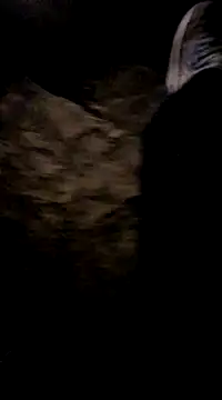 playtyme420691 online show from 12/07/24, 05:15