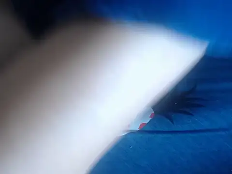 69loveme09 online show from 02/04/25, 09:07