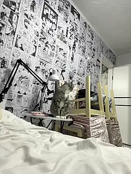 Minami 686 online show from 12/09/24, 12:40