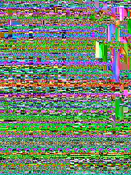 CamelliaLong online show from 04/08/26, 02:44