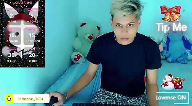 Liamscott  online show from 12/11/24, 04:28