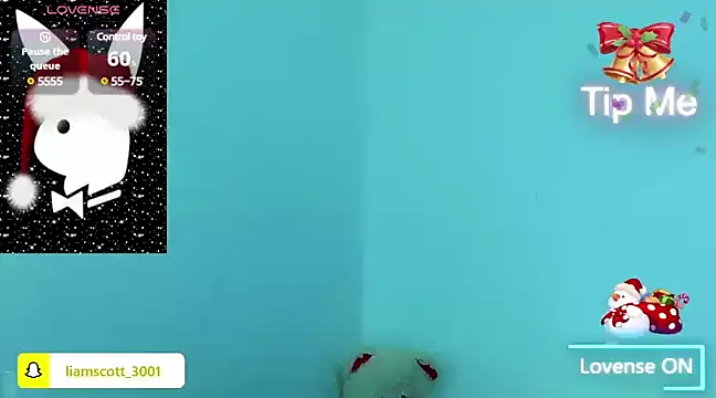 Liamscott  online show from 12/22/24, 02:39