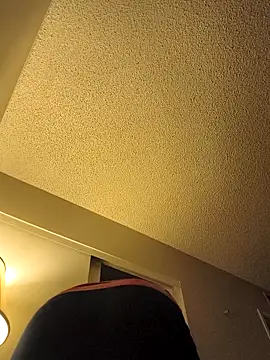 Snapshot of renegade_vyxxen chatting on 11/28/25, 03:53 renegade vyxxen online show from 11/28/25, 03:53