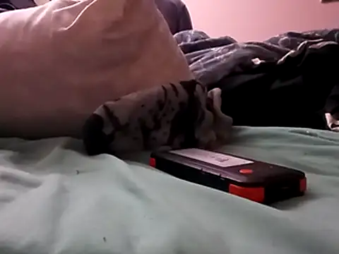 Blkstylion online show from 12/05/25, 02:47